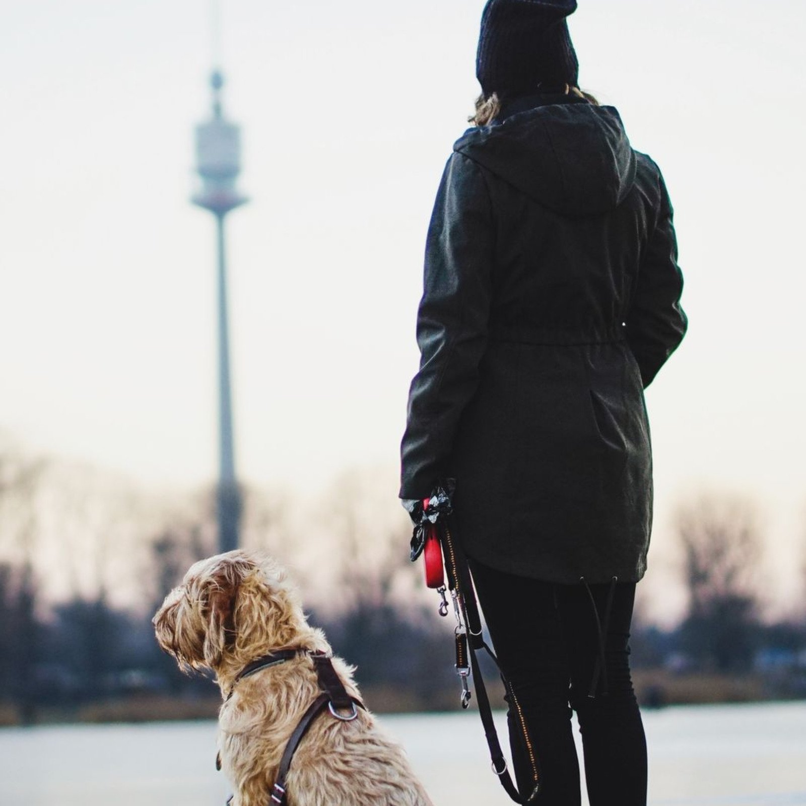 Northgate Rope Leash - Image 2