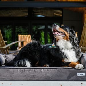Travel Roll-Up Bed