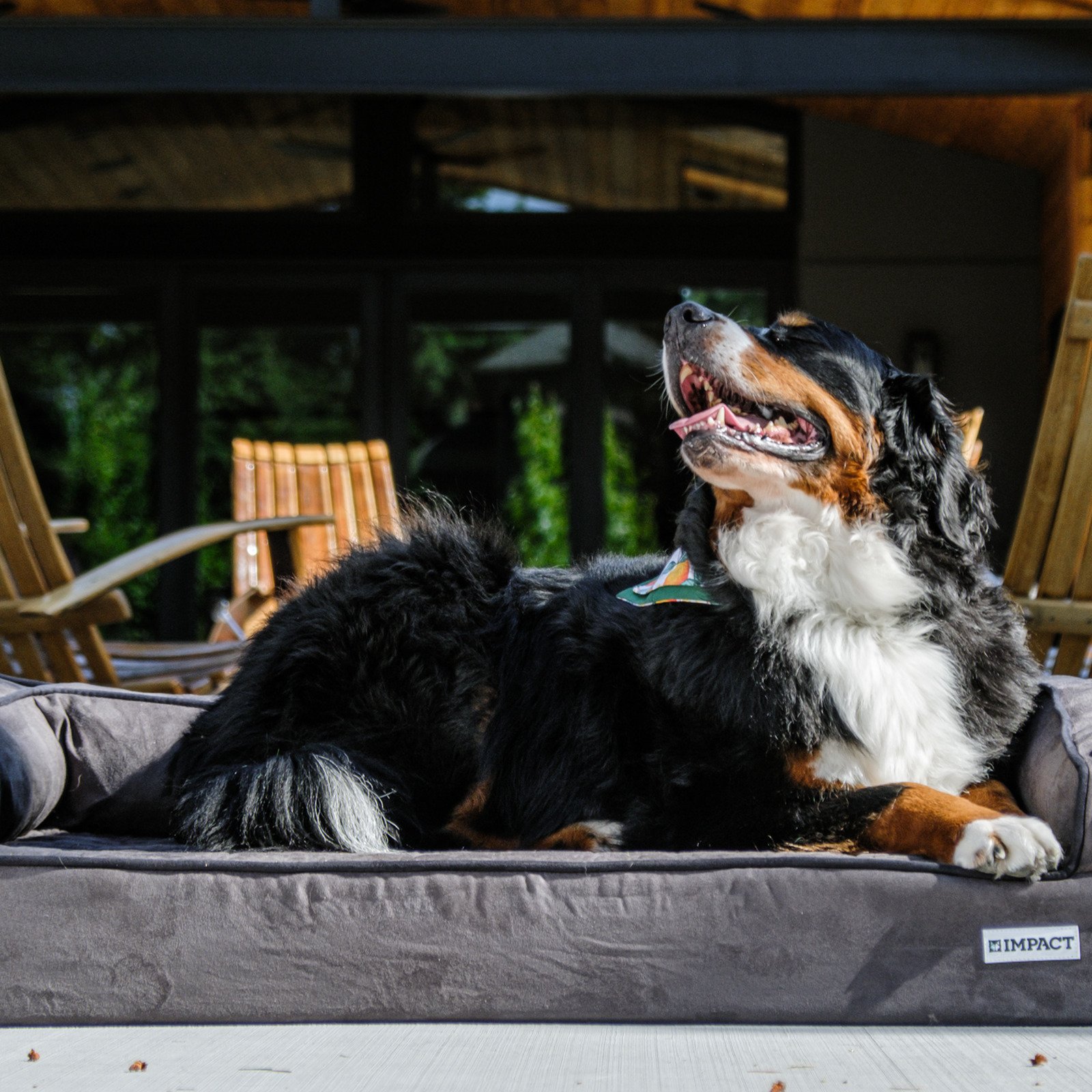 Travel Roll-Up Bed